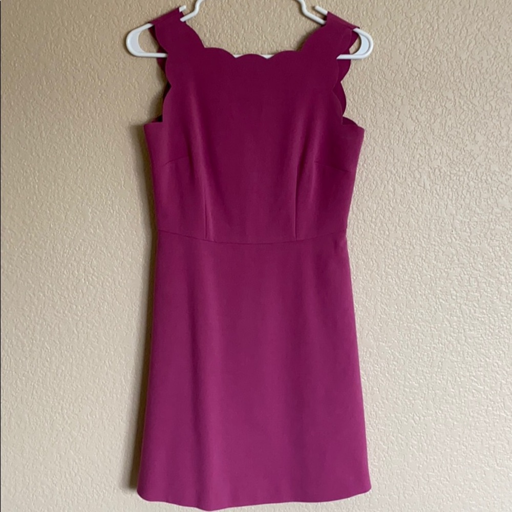 Loft Pink Shift Dress with Scalloped details
